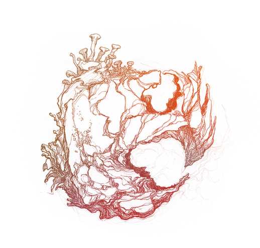 logo2_web.png