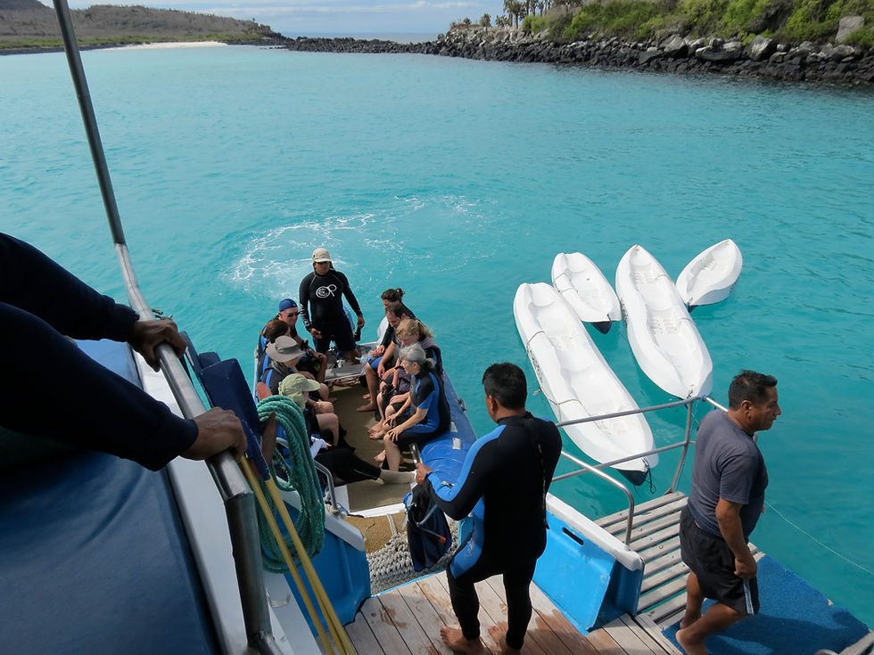 Thanksgiving in the Galapagos