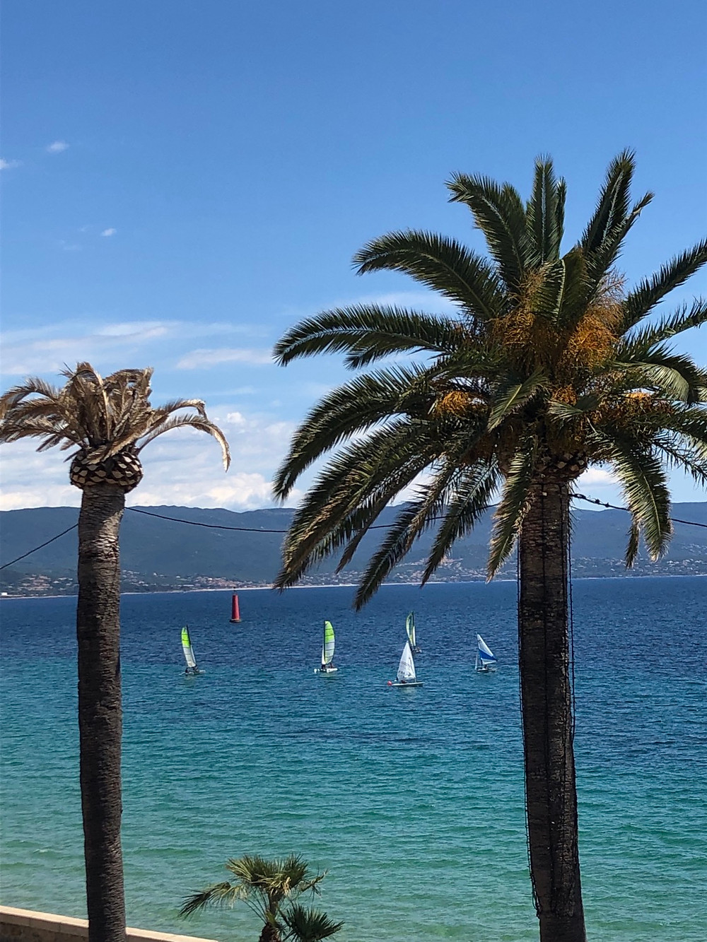 Corsica