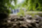 Cane-Cree-Falls-5.webp
