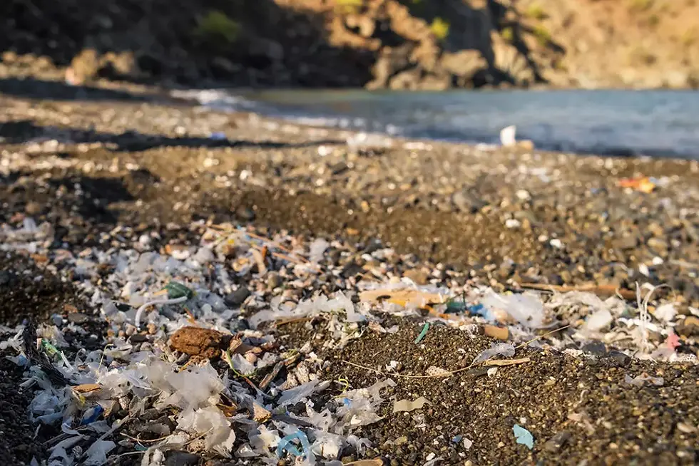 microplasticos en una playa que son los microplasticos readypackers