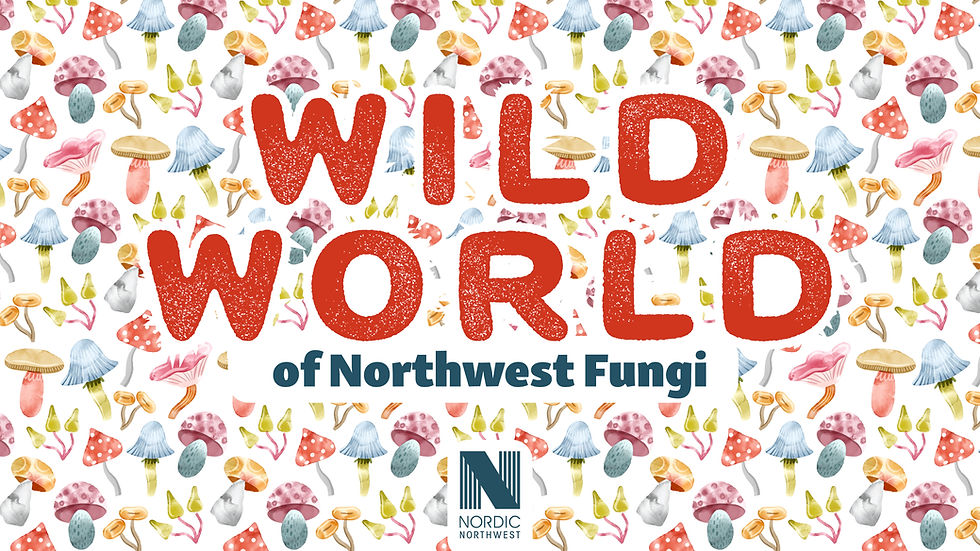 The Wild World of Northwest Fungi