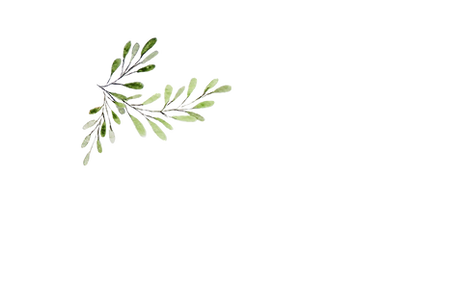 delicate leaves 2.png