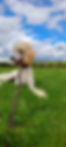 20220516_142640.jpg