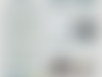 Celebrating 2024: Highlights