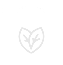 HHD_leaf_edited_edited.png