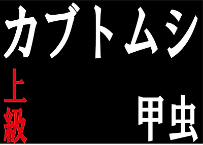 上級かぶとむし.png