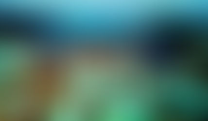 SOLAR SOLVE MARINE WINS 40-SHIP ORDER FROM SOUTH KOREA