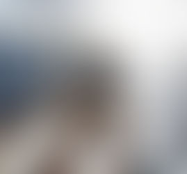 CORY BROTHERS APPOINTED GENERAL AGENT FOR BOCS