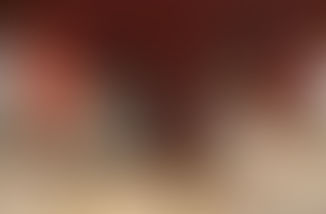 THE ROLE OF A THRUSTER AND THRUSTER COMPONENTS ON-BOARD LARGE SEAGOING SHIPS