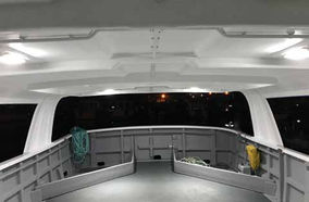 HELLA LIGHTS STOP INTERFERENCE