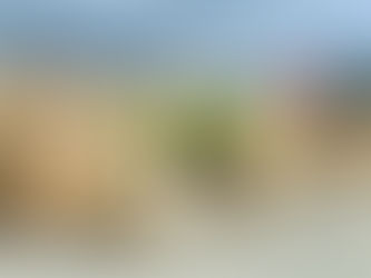 HVAC & Refrigeration Ltd Secures New
Contract for Sakhalin Offshore Project