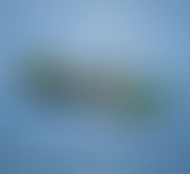 ROYSTON WINS NEW ENGINE SERVICE WORK ON BLUEWATER FPSO