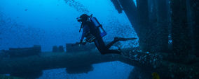 Cygnus’ New Underwater Gauge Is an Astonishing Transformation