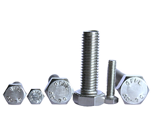 Stainless Steel Bolt
