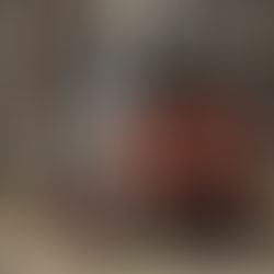 Bobcat S450 skid steer loader, official Bobcat Company product photo