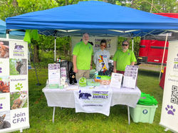 Westport Dog Festival