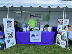 Catherine's Butterfly Party 2024