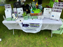 Westport Dog Festival