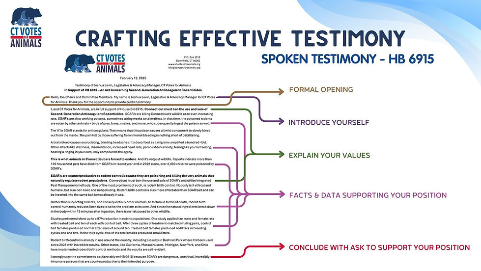 CVA_SlideDeck_LDR-Reception (1).jpg