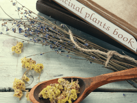 Les meilleurs livres sur les Plantes Médicinales : Guides complets et recettes naturelles
