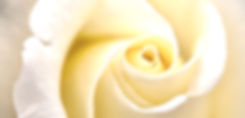 V2OSK-CU6C65IJA9K-UNSPLASH.jpeg