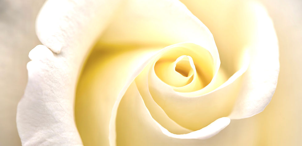 V2OSK-CU6C65IJA9K-UNSPLASH.jpeg