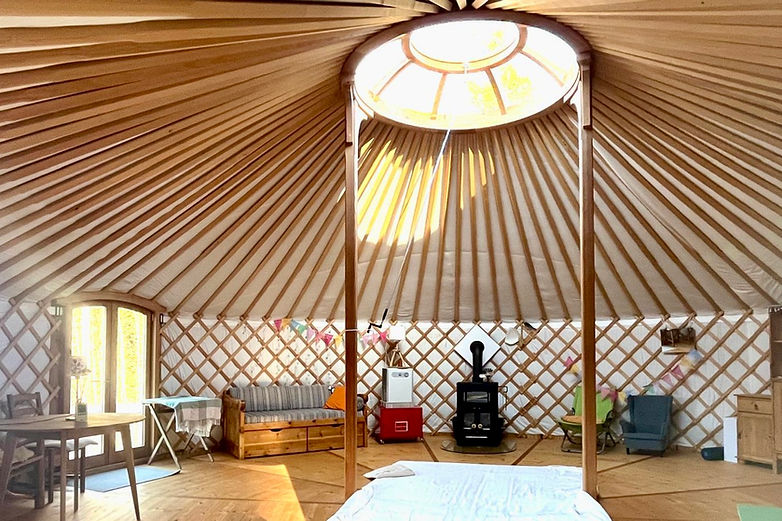 WhatsApp Image 2026-02-27 at 15.58.55.jpeg