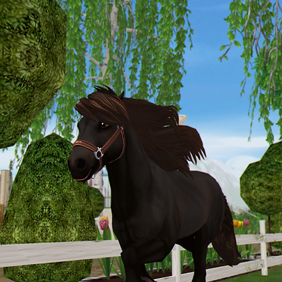 horse-4100412_1280.png