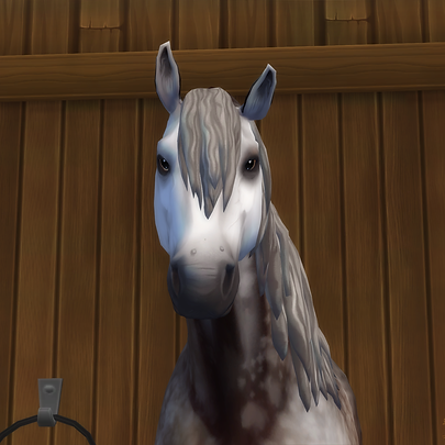 horse-4100412_1280.png