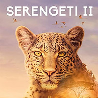 Serengeti2.jpeg