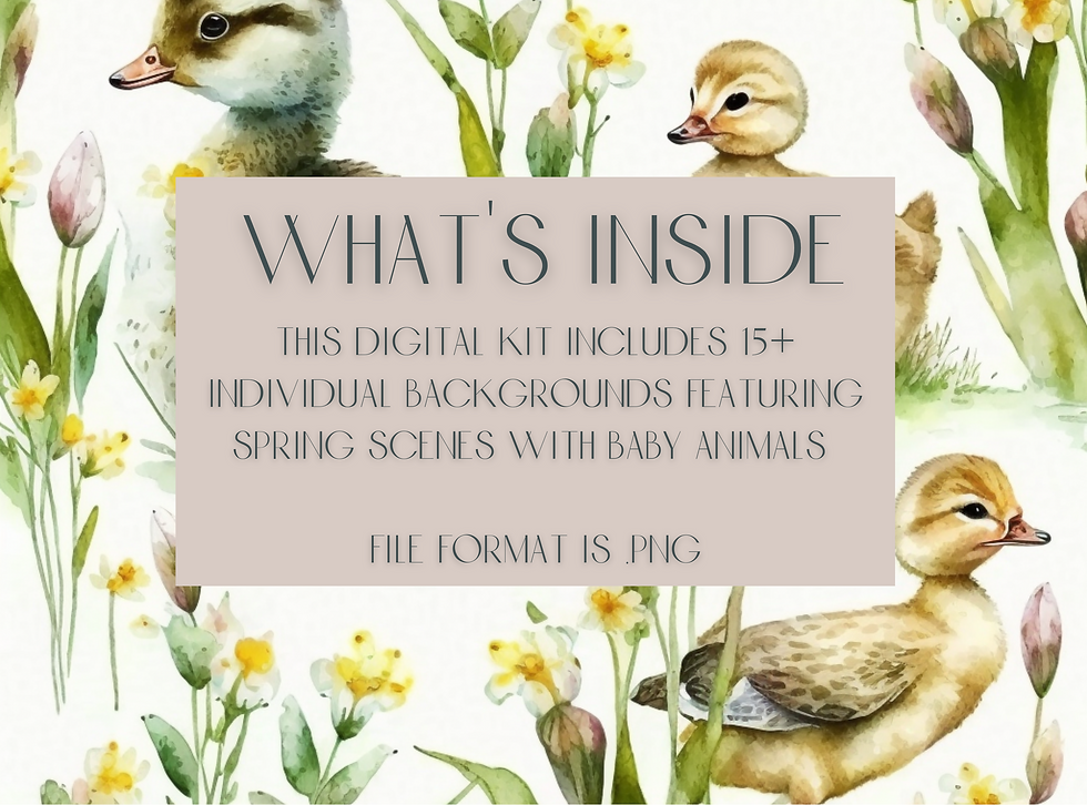 Thumbnail: Rebirth in Spring Digital Papers