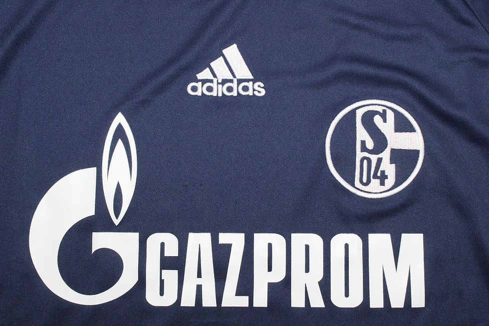 Miniature : SCHALKE 04 2011