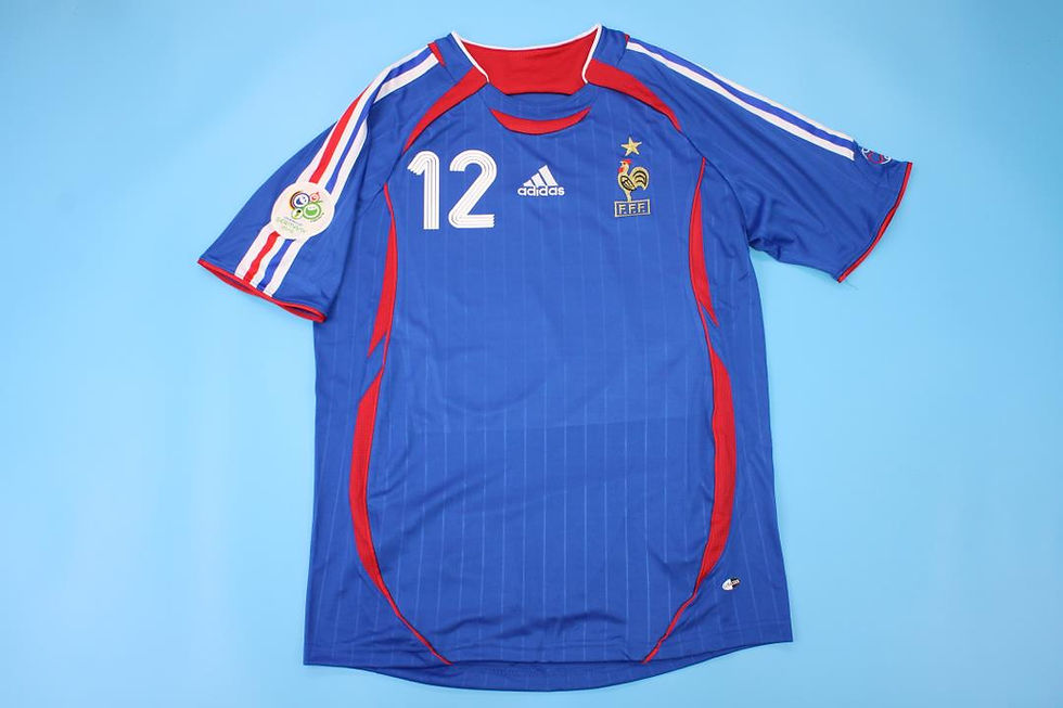 Miniatura: FRANCIA 2006