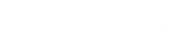 rokky singh logo crop.png