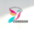 logo corosan.jpg