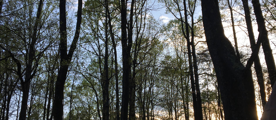 Hocking Hills Round 1: Geology Class Field Trip