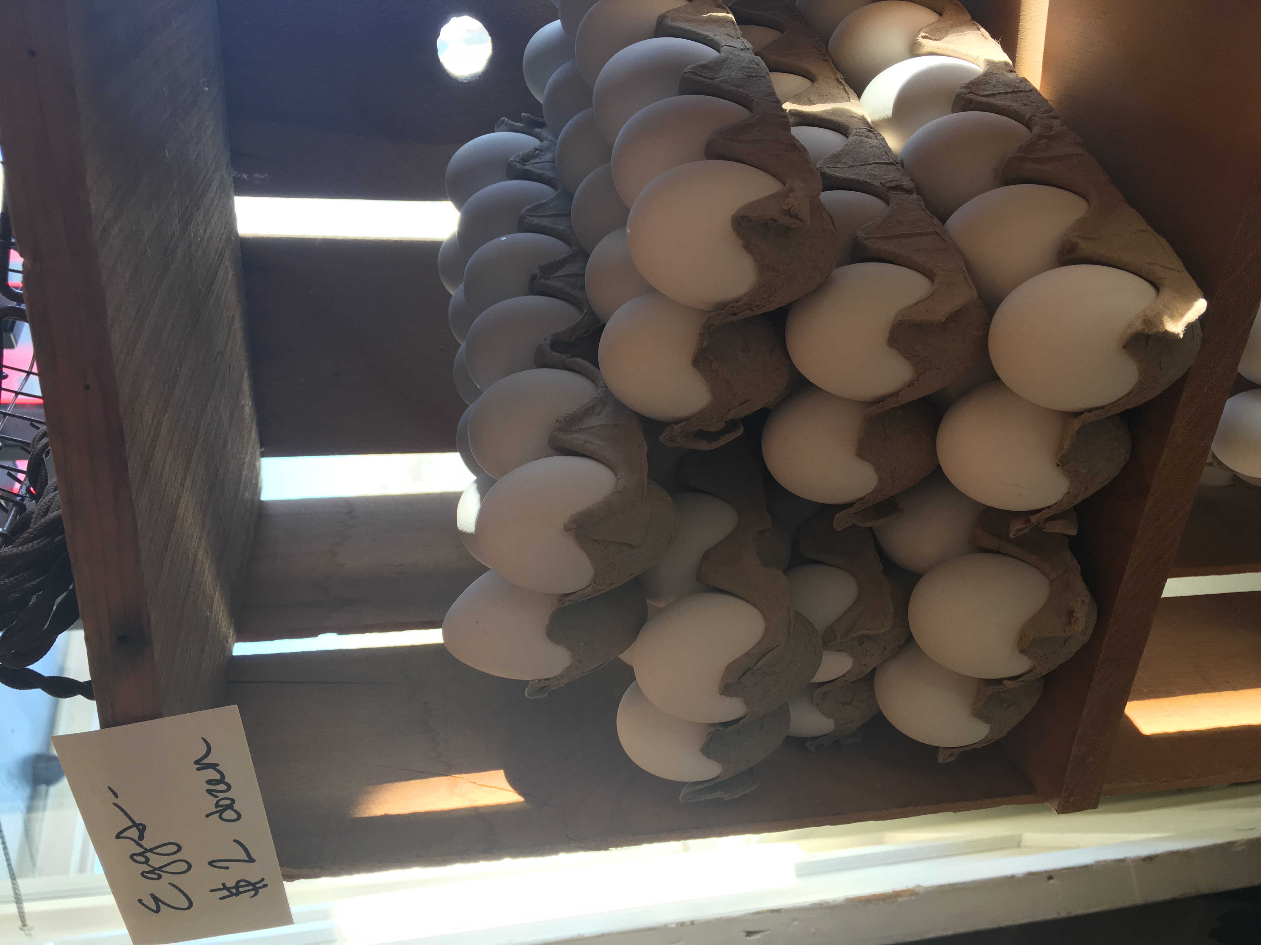 Faux Eggs, $2/dozen