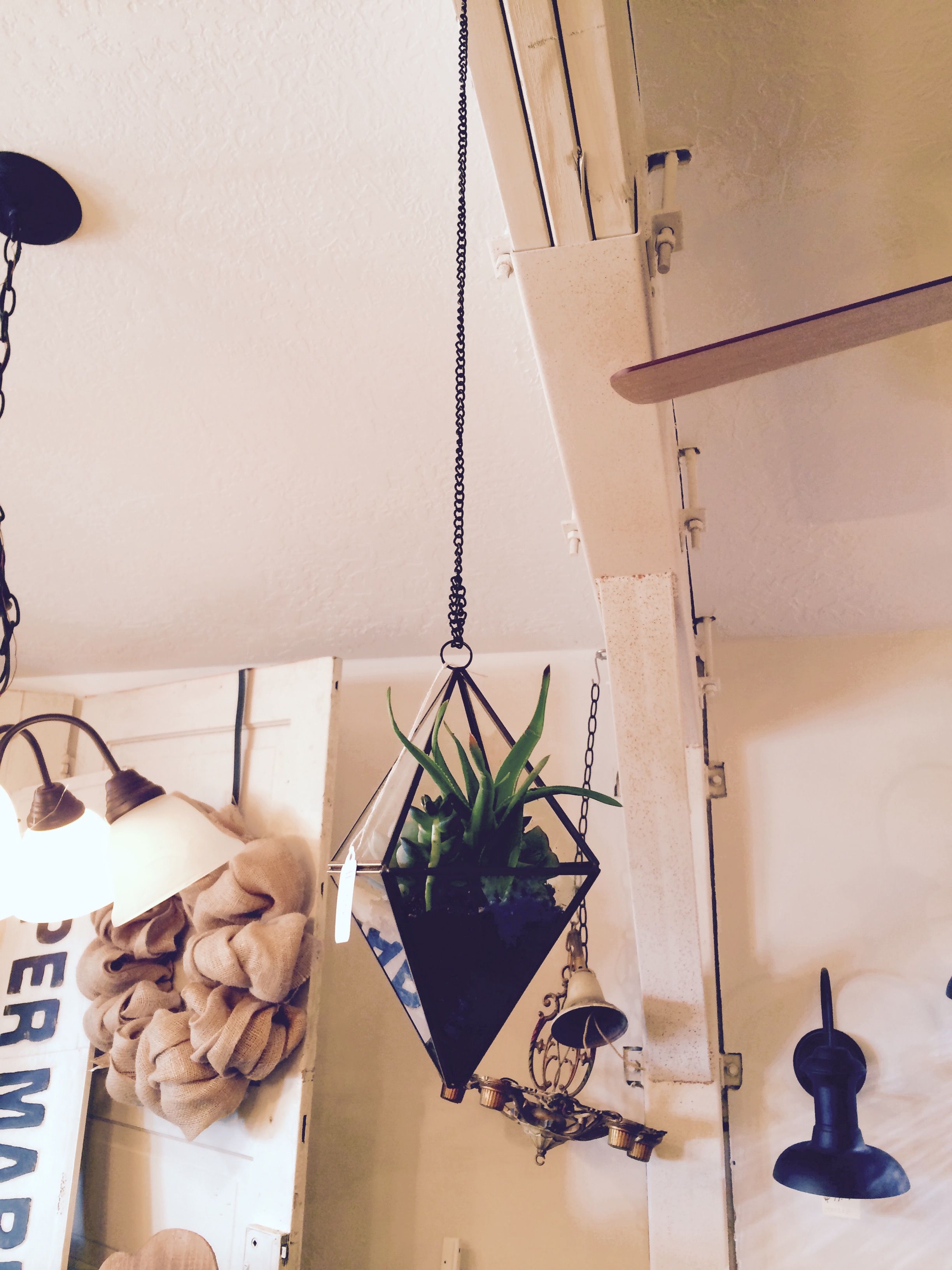 Hanging Succulent Terrarium $15