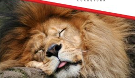 ESTÁ CHEGANDO A HORA DE AMANSAR O LEÃO