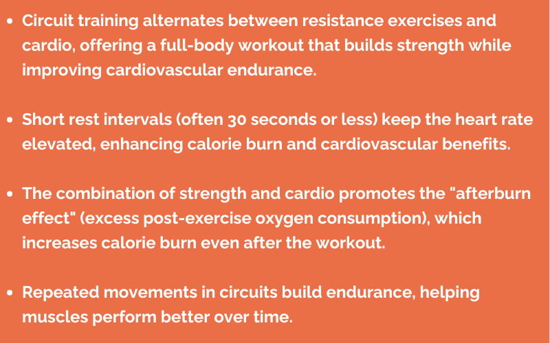 Orange banner with full body circuit facts