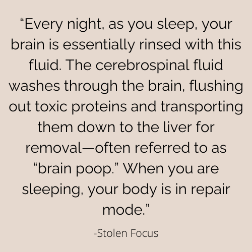 a quote about sleep and how it flushes brain poop
