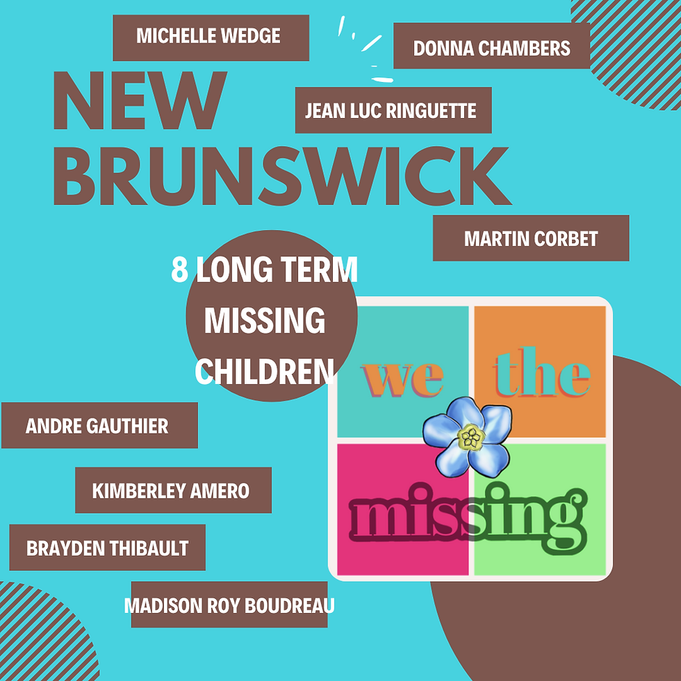 Blue background with text: "New Brunswick 8 Long Term Missing Children Michelle Wedge, Donna Chambers, Jean Luc Ringuette, Martin Corbet, Andre Gauthier, Kimberley Amero, Brayden Thibault, Madison Roy Boudreau" "We the Missing" logo. Mood: nostalgic.