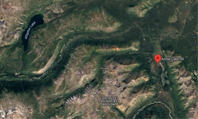 Satellite map of mountainous terrain with Alligator Lake, an Annie Lake Rd pin, and Carcross/Tagish First Nation label.