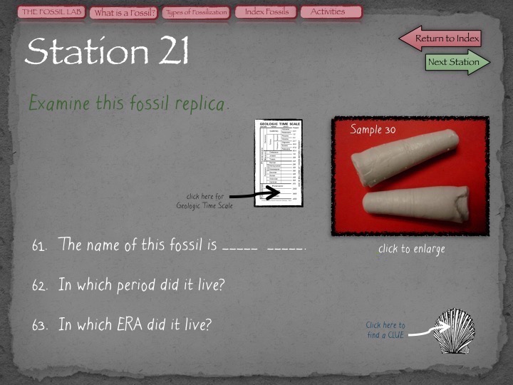 Fossil Lab gonyoscience