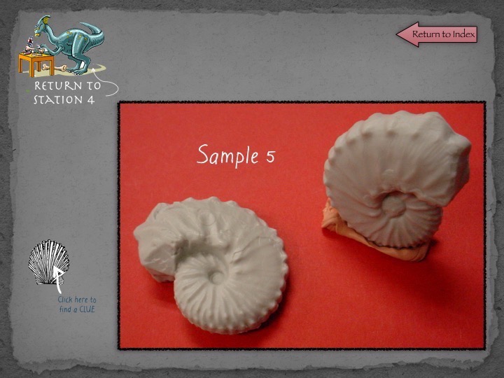 Fossil Lab gonyoscience