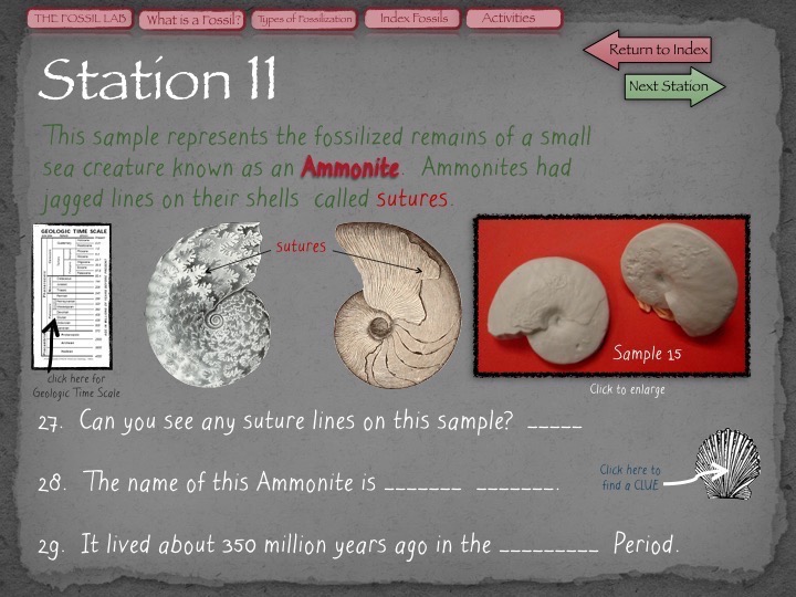 Fossil Lab gonyoscience
