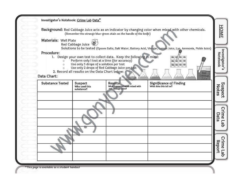 c student handout slides_Page_3