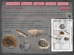 5Fossil Lab