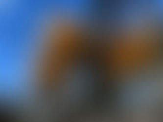 2025 秋_ 1 甘露梨